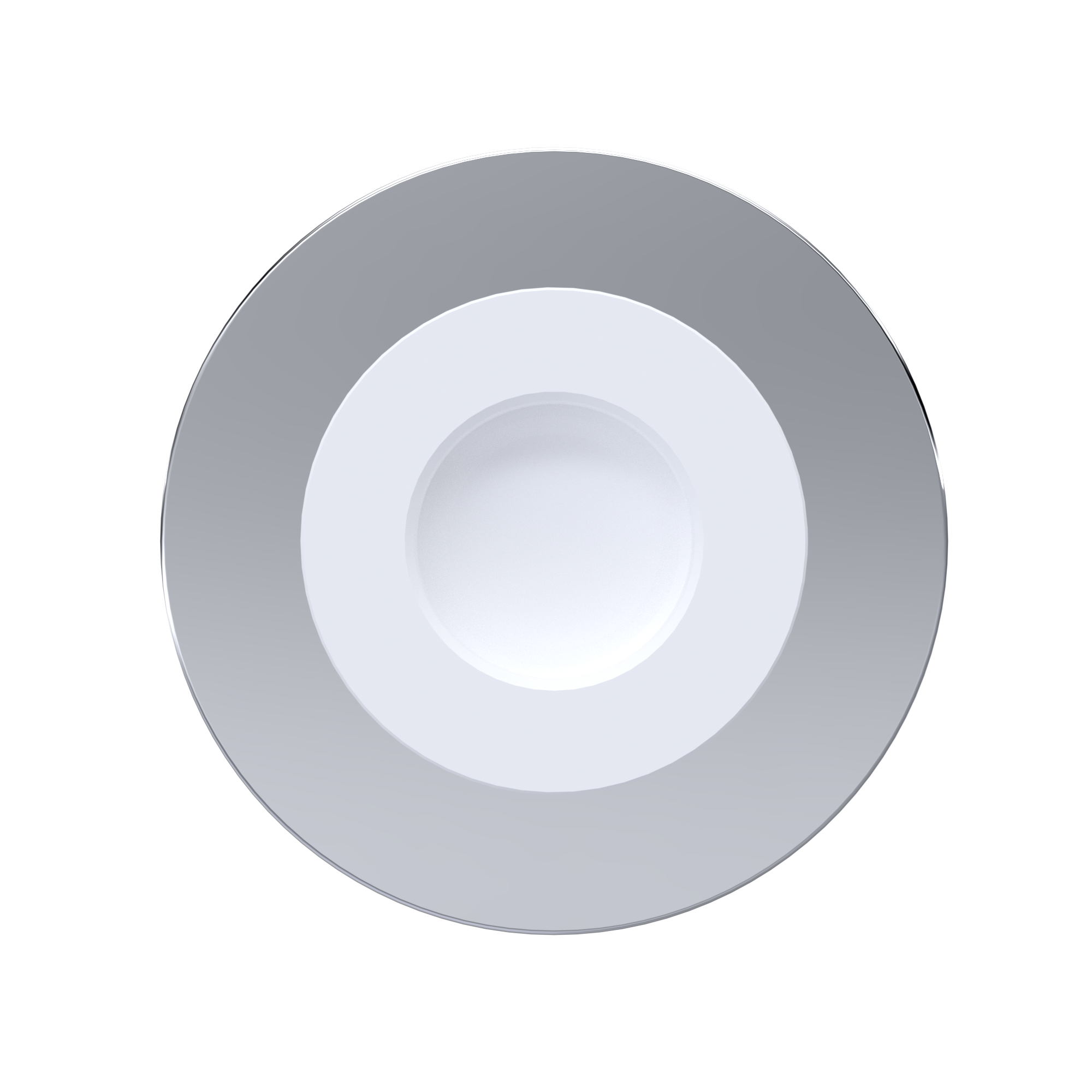 βαλβίδα αντεπιστροφής PTFE DN25 - 1" ίντσα ANSI B 16.5 CL 150