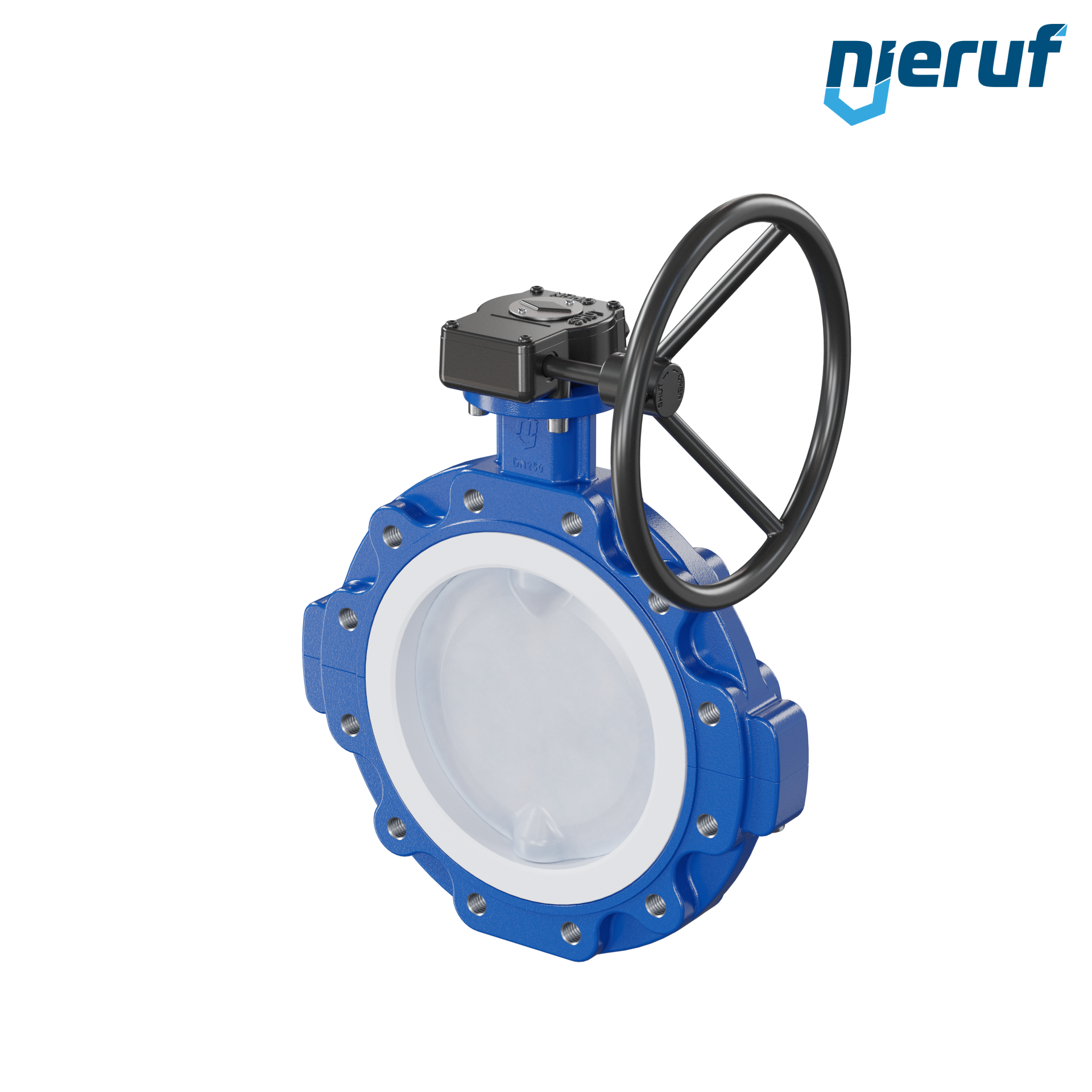 valvola a farfalla PFA PTFE AK10 DN250 PN10 volantino manuale inserto in FKM