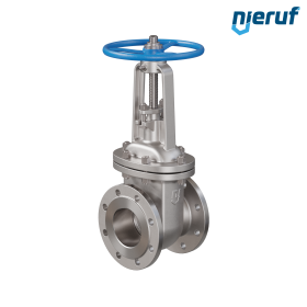 Vanne à opercule plat en acier inoxydable 1.4408 AS03 DN100 PN16