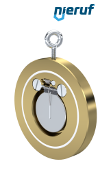 Zwischenflansch-Rückschlagklappe mit Feder DN50 ZR10 Alubronze 2.0975 PTFE