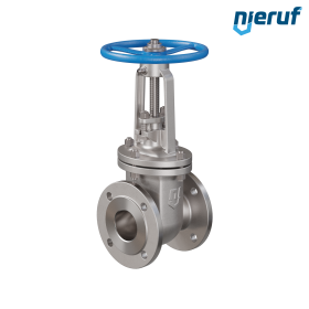 Vanne à opercule plat en acier inoxydable 1.4408 AS03 DN65 PN16
