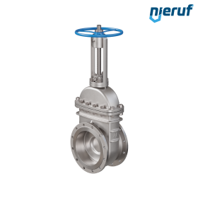 Vanne à opercule plat en acier inoxydable 1.4408 AS03 DN300 PN10