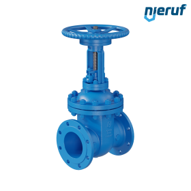 Vanne à opercule rond en acier moulé 1.0619+N AS02 DN150 PN16