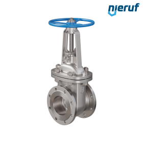 Vanne à opercule plat en acier inoxydable 1.4408 AS03 DN125 PN16