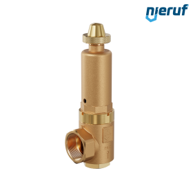 valvola di sicurezza 1 1/4" x 2" F SV08 fluidi gassosi, ottone rosso NBR