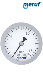Manometer G 1/4" axial 63 mm Edelstahl MM06 0 - 6,0 bar mit Glyzerinfüllung