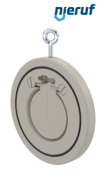 Zwischenflansch-Rückschlagklappe DN65 ZR06 Kunststoff PP-H FKM (Viton)