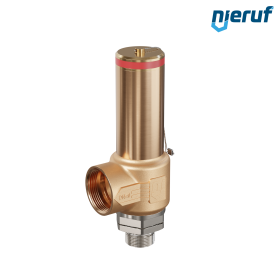 valvola di sicurezza criogenica senza otturatore di scarico DN25 1" M x 1 1/2" F SV18, acciaio inox & ottone rosso PTFE