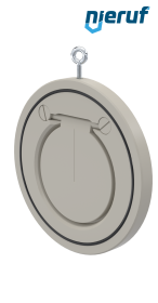 Zwischenflansch-Rückschlagklappe DN125 ZR06 Kunststoff PP-H EPDM