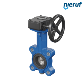 Butterfly valve AK02 DN 40 PN10-PN16 FDA Worm gear