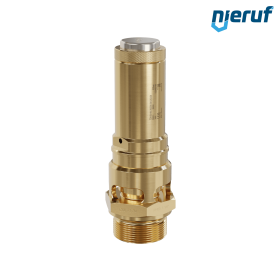 valvola di sicurezza 1 1/4" M SV01 per aria compressa PTFE ottone pressione di taratura 0,2 - 16,0 bar