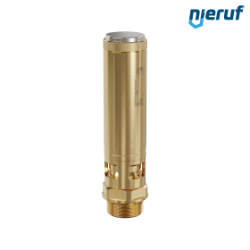 valvola di sicurezza 1 1/2" M SV01 per aria compressa FKM ottone taratura pressione 0,2 - 16,0 bar