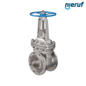 Vanne à opercule plat en acier inoxydable 1.4408 AS03 DN150 PN16